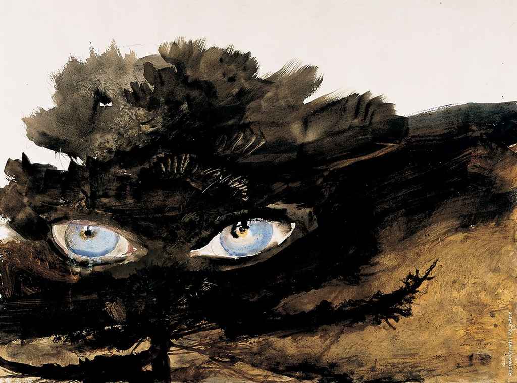 Andrew Wyeth Painting 132