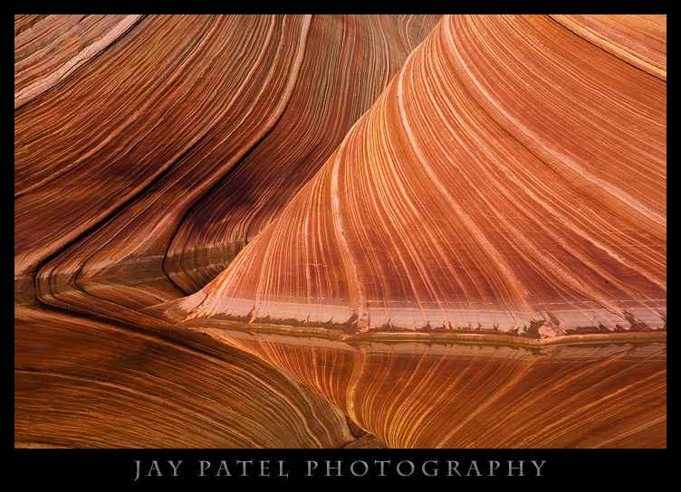 The Wave in Vermillion Cliff