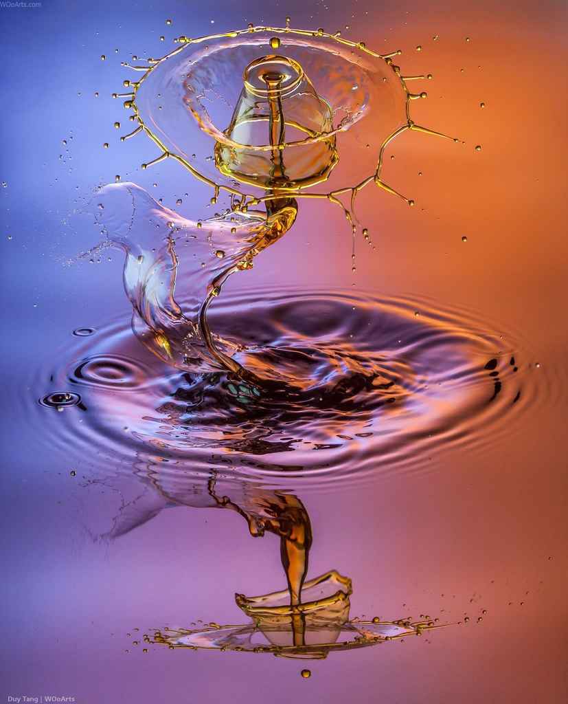duy-tang-water-droplet-photography-wooarts-02