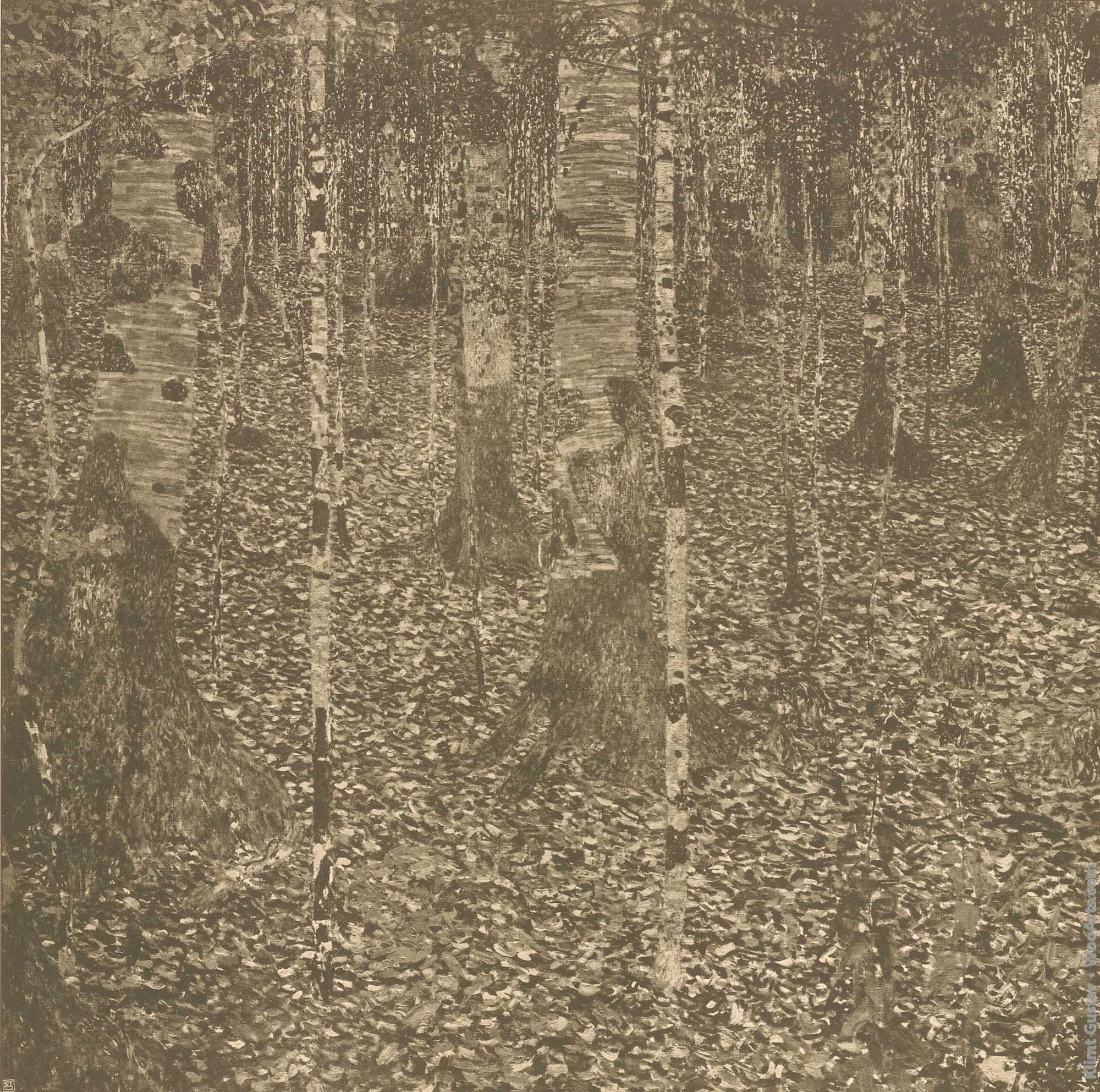 Birch forest after Gustav Klimt, plate 36, The work of Gustav Klimt Gustav Klimt 1918
