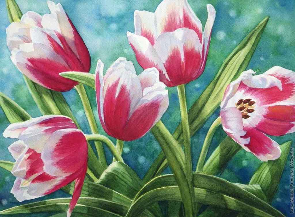 Watercolor Painting by Artist Lana Matich Privitera